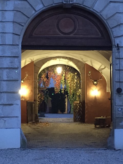 Schloß Loosdorf beherbergt den "Scherbenschatz" | Foto: Gabriel