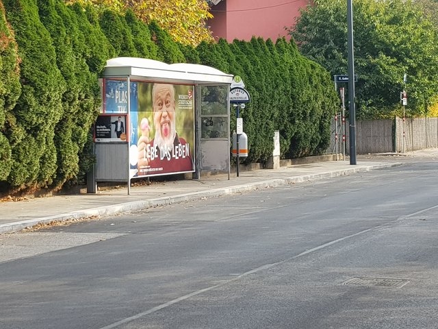 Foto: Alfred Krenek