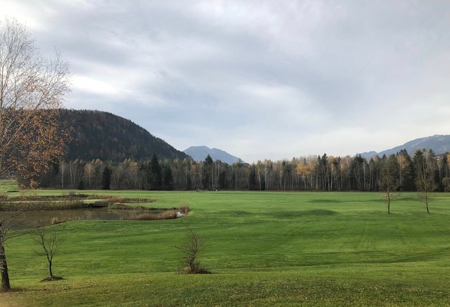 Blick zum Edlbacher Moor