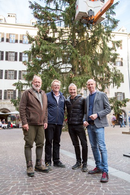 V.l.: Förster Kurt Pröller, Oliver Thum (Fa. Prangl), Robert Neuner (IAI Veranstaltungs GmbH) und Bernhard Vettorazzi (Stadtmarketing) vor dem Christbaum, der seit Montag in der Innsbrucker Altstadt steht. | Foto: Foto: IKM/Lercher