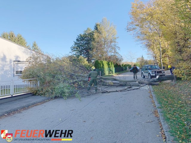 Die Einsatzkräfte der FF Forchtenau räumten die Stauseestraße wieder für den Verkehr. | Foto: FF Forchtenau