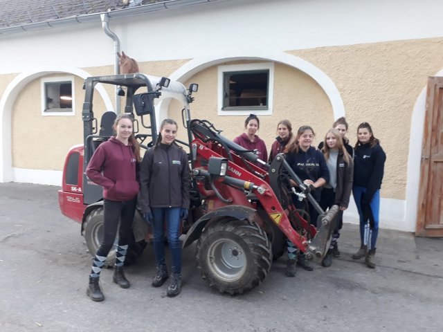 Schüler der Fachrichtung Pferdewirtschaft beim Projekt „Stallmeister“. | Foto: abz Lambach