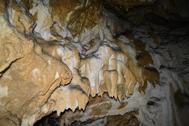 Übung der Höhlenretter: Die Höhlenführer, die Höhlenrettung und die Bergrettung übten den Ernstfall in der Ötscher-Tropfsteinhöhle.