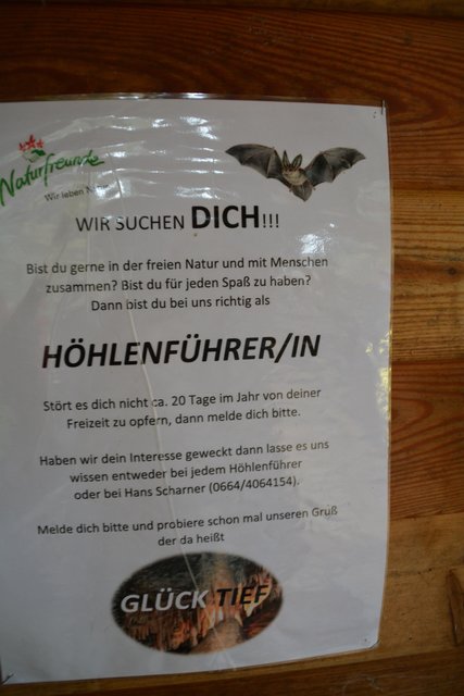 Das Team der Naturfreunde Kienberg-Gaming ist immer auf der Suche nach Höhlenführern.