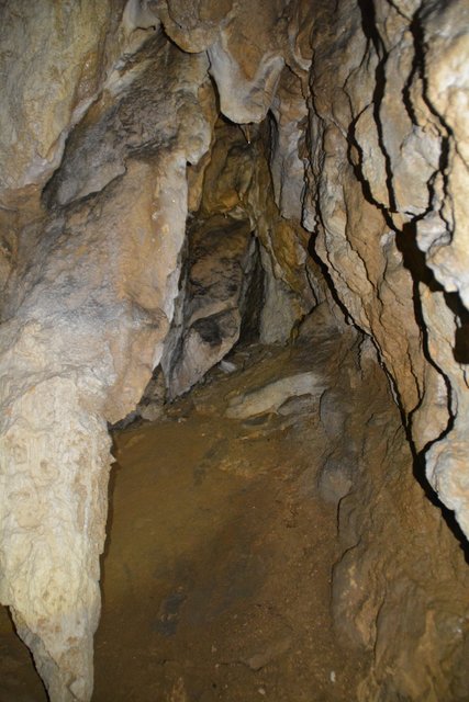 Übung der Höhlenretter: Die Höhlenführer, die Höhlenrettung und die Bergrettung übten den Ernstfall in der Ötscher-Tropfsteinhöhle.