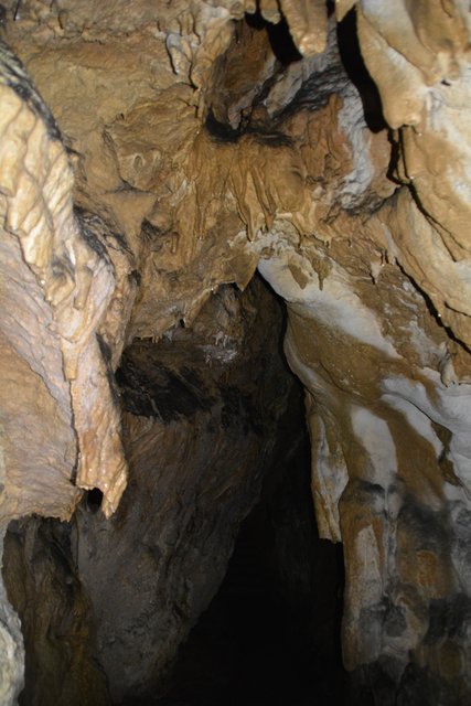 Übung der Höhlenretter: Die Höhlenführer, die Höhlenrettung und die Bergrettung übten den Ernstfall in der Ötscher-Tropfsteinhöhle.