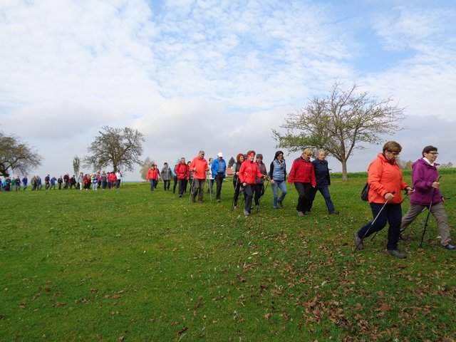 Bei herrlichem Herbstwetter wanderten die Gesunden Gemeinden Diersbach und St. Roman gemeinsam.