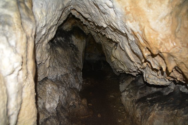 Übung der Höhlenretter: Die Höhlenführer, die Höhlenrettung und die Bergrettung übten den Ernstfall in der Ötscher-Tropfsteinhöhle.