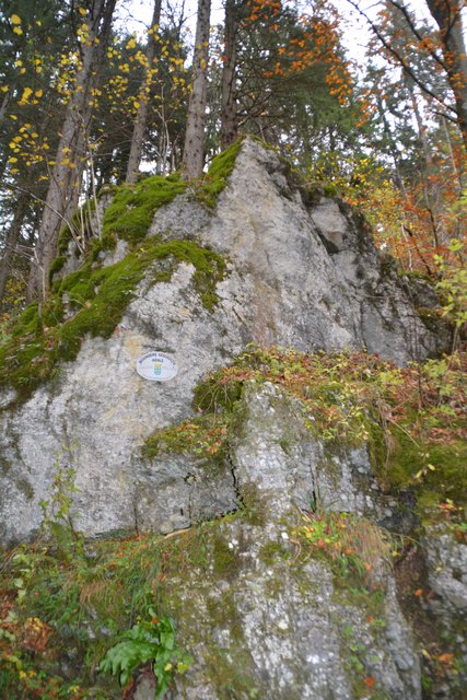 Übung der Höhlenretter: Die Höhlenführer, die Höhlenrettung und die Bergrettung übten den Ernstfall in der Ötscher-Tropfsteinhöhle.