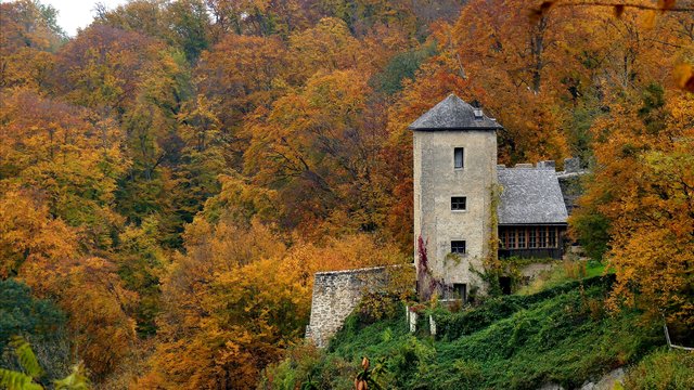 "Indian Summer" am Mönchsberg | Foto: Silvia Jörg