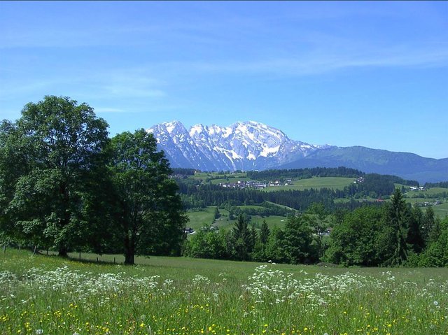 St. Koloman ist mit 1752 Einwohnern die viertkleinste Gemeinde im Bezirk – jedoch gleichzeitig die am stärksten wachsende.