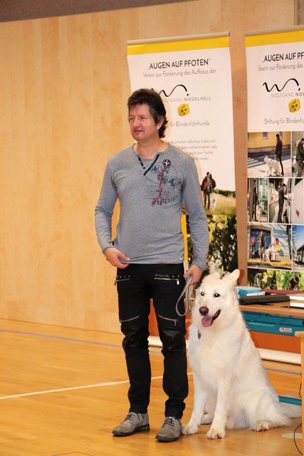 Blindenhund Amadeus ersetzt Wolfgang Niegelhell das Augenlicht | Foto: Edith Ertl