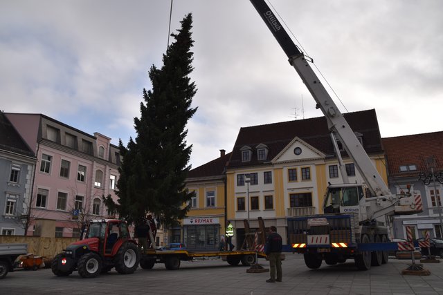 Jährliches Ritual: Das Aufstellen des Christbaumes am unteren Hauptplatz