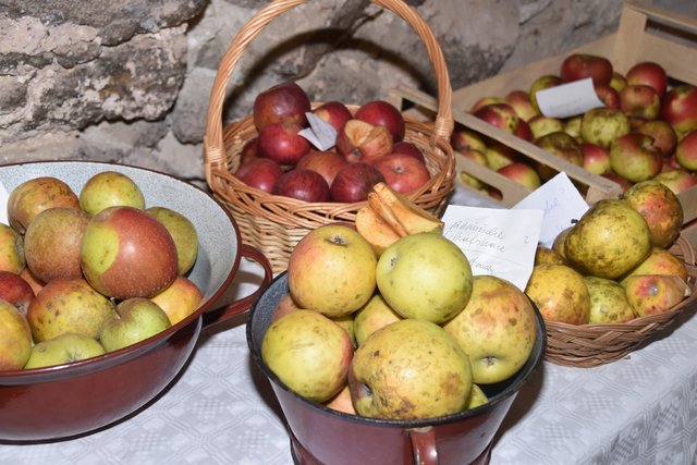 150 heimische Apfelsorten wurden ausgestellt.