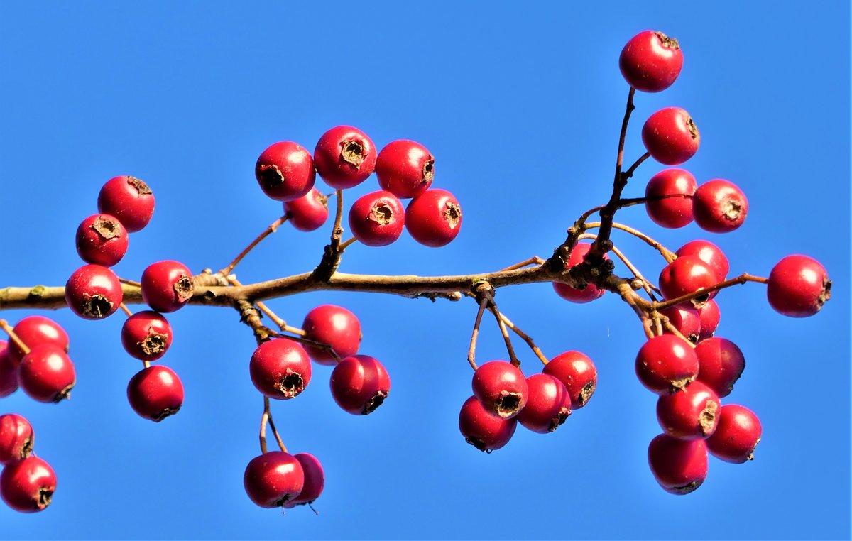 Der Herbst Ist Da Und Die Tage Werden Kurzer Graz