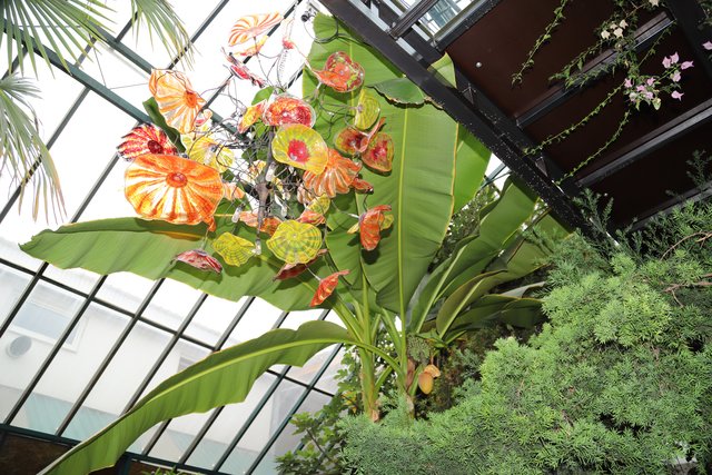 Kunstobjekte in Verbindung mit Natur im Wintegarten