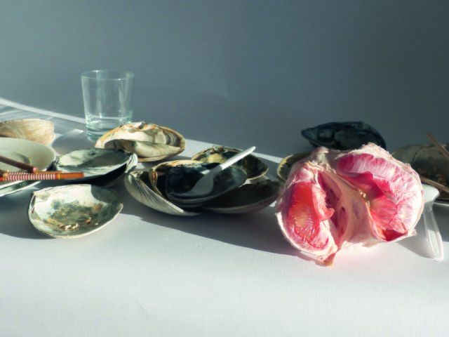 Die Ausstellung "Stillleben - Eigensinn der Dinge" mit "In the Wealth of Time" von Andrea Withmann findet derzeit im Kunsthaus Wien statt.  | Foto: (c) Andrea Withmann