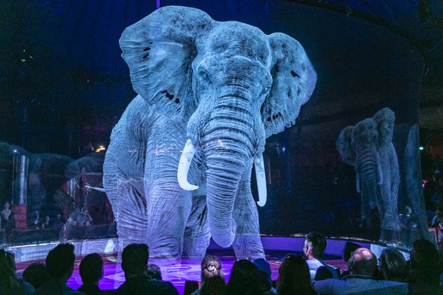 Der Circus Roncalli verzichtet vollständig auf Zirkustiere und zeigt Pferde oder Elefanten als 3D-Projektionen. | Foto: Circus Roncalli