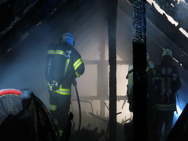 Foto: Johannes Niedermayr