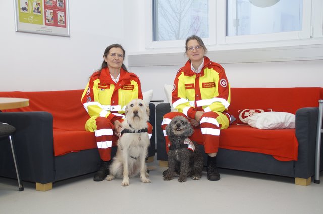 Freunde fürs Leben: Luna (l.) und Merle mit ihren Frauchen Isabella Eales (l.) und Birgit Prohaska vom ASBÖ Favoriten.