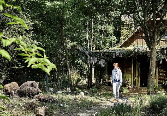 Wildhexe, Kinofilm | Foto: MFA+/Filmagentinnen