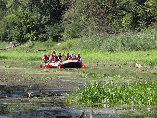Die Sommercamps im Nationalpark waren eines der Highlights der Saison 2018. | Foto: Ruckenbauer