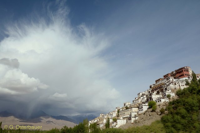 Foto: Gerhard Osterbauer ©