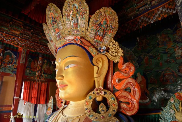 Foto: Gerhard Osterbauer ©