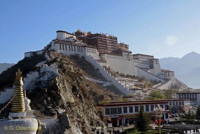 Foto: Gerhard Osterbauer ©