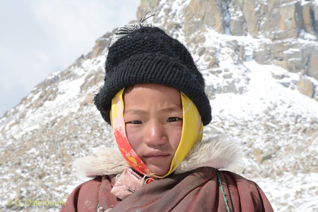 Foto: Gerhard Osterbauer ©