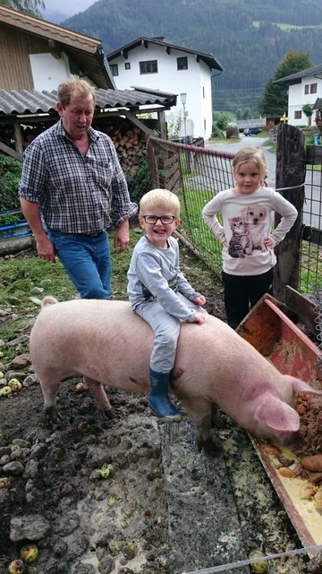 Kolmanbauer Albert Vorreiter mit seiner Enkelin Nina und Enkel Bastian spielen mit den Schweinen. | Foto: Vorreiter