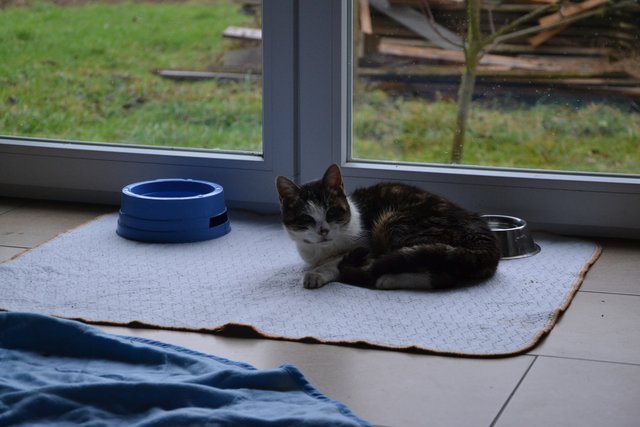 Die ersten pflegendürftigen Bewohner dürfen sich schon wohlfühlen