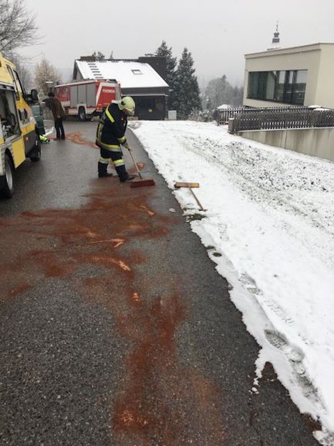 Der Diesel musste gebunden werden. | Foto: FF Maria Anzbach