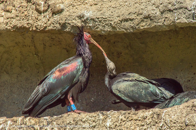 Foto: M. Luise Lehmann