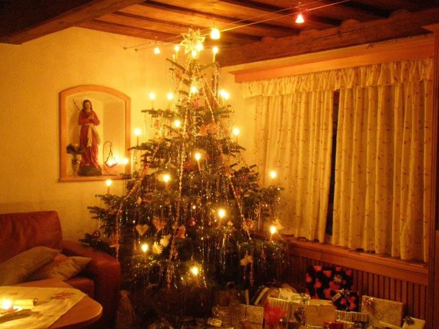 Echt steirische Christbäume verschönern Weihnachten.