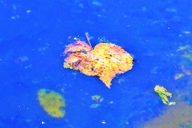 Ein herzliches Dankeschön, an die Redaktion Graz und die Redaktion GU-Nord!