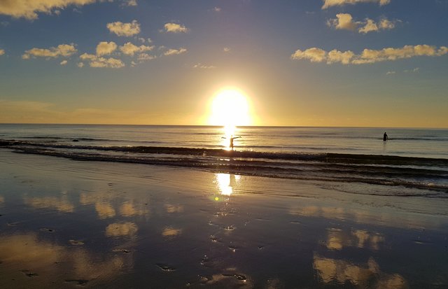 der Sonne entgegen schwimmen