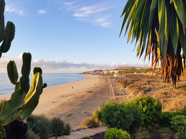 Strandblick