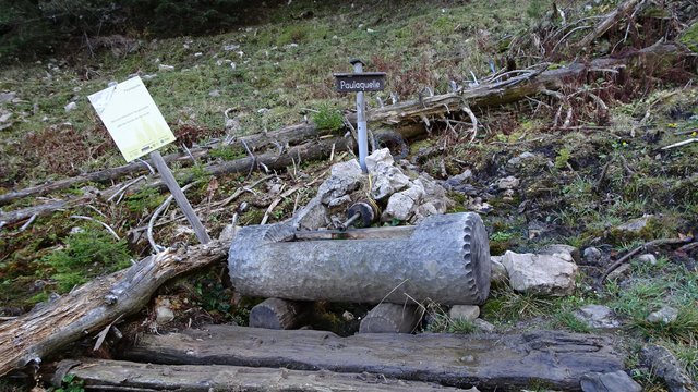 Foto Paulaquelle ( aus Fotoserie Tonion/Mürzsteger Alpen )