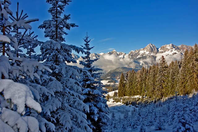 Gehen, zurückschauen und genießen! Schönfeldspitze (Bildmitte), Selbhorn, Scharegg und Wildalmkirchl.