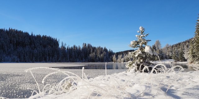 Winterfoto hochladen und unsere Facebook-Seite verschönern! | Foto: Regionautin Klothilde Schnedl