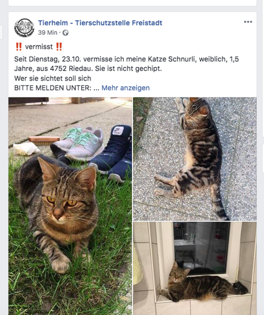 Das Tierheim Freistadt stellt trotz des großen Aufwandes gerne auch alle Vermisstenmeldungen auf ihr facebook-Portal.  | Foto: Privat