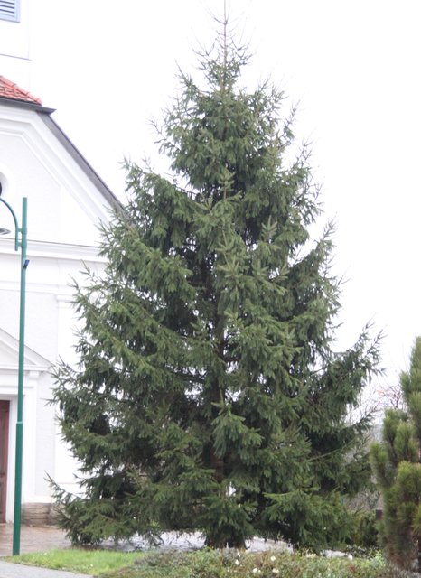HBI Ernst Ninaus kann zufrieden sein