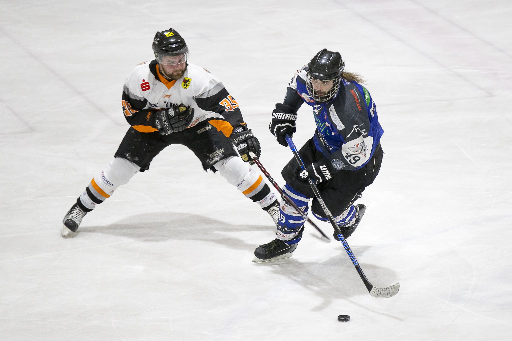 Halle Eishockey Halle Eishockey