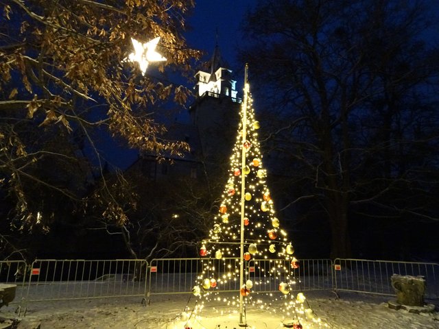 Der Weihnachtsbaum beim Ausgang ... im Hintergrund der beleuchtete Schlossturm.