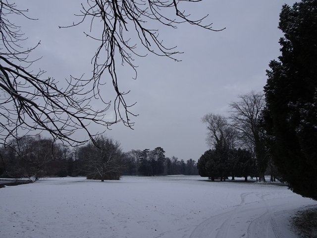 Ein Blick in den Schlosspark ...