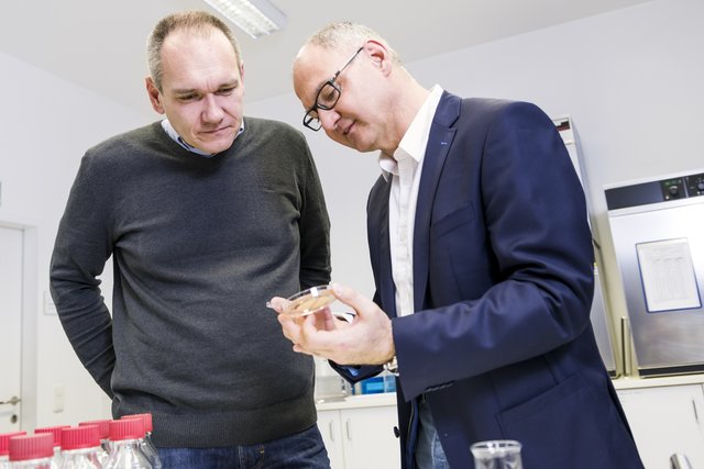 Franz Zwingler und Milo Halabi begutachten mikrobiologische Ergebnisse.
