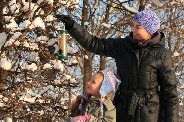 Futterspender | Foto: BirdLife Österreich