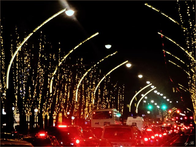Noch weiter zurückgeblickt die weihnachtliche Beleuchtung an den Bäumen links und rechts der Ringstraße | Foto: © Uschi R.