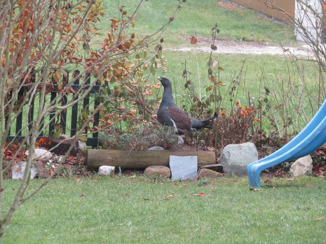 Foto: E. u. E. Hofer